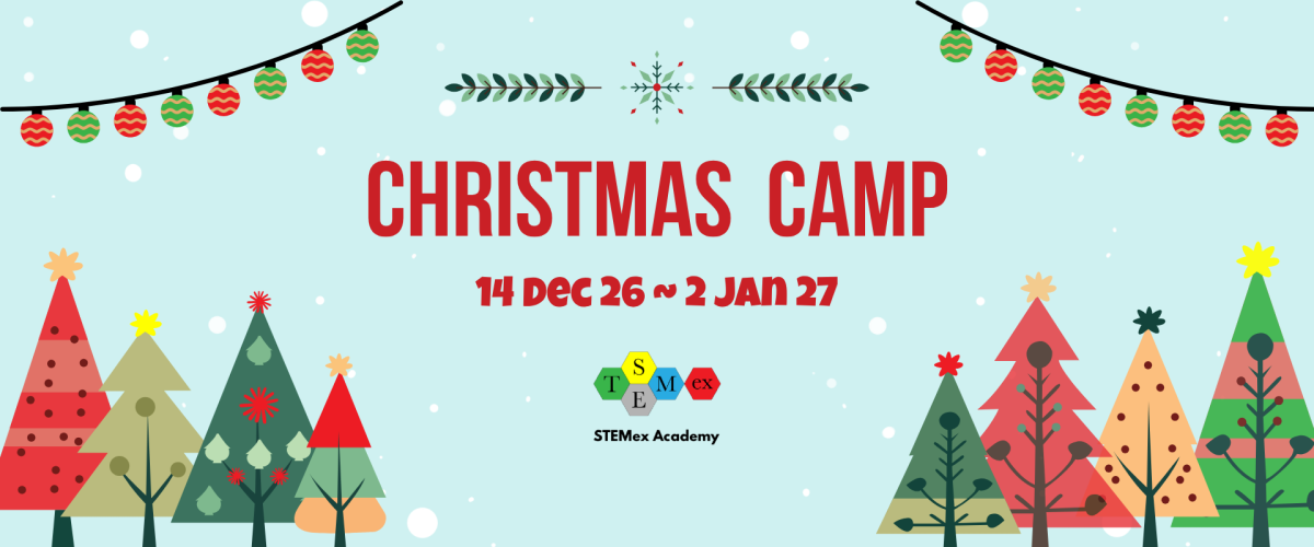 Lunar New Year Camp 2025